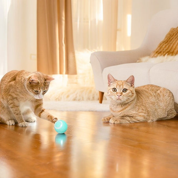 Electric Smart Ball Toys for Pets