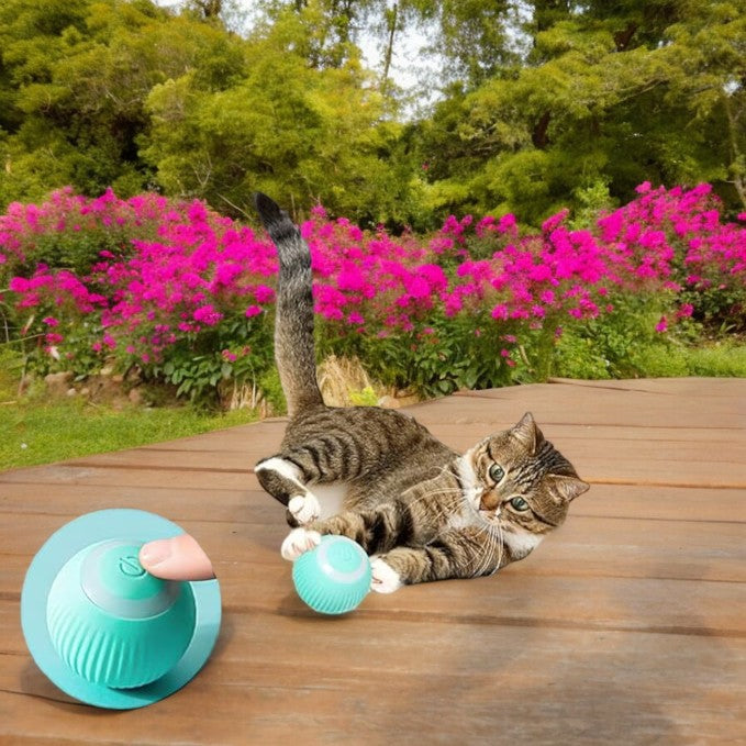 Electric Smart Ball Toys for Pets