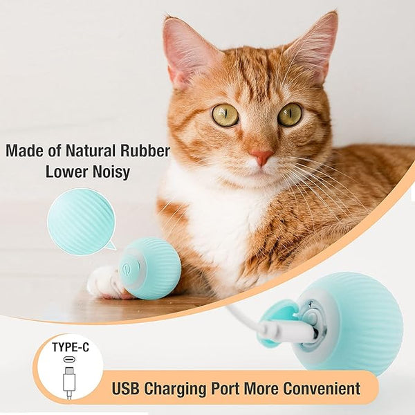 Electric Smart Ball Toys for Pets