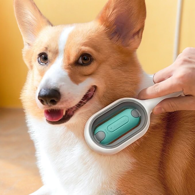Hair Removal Brush for Pets