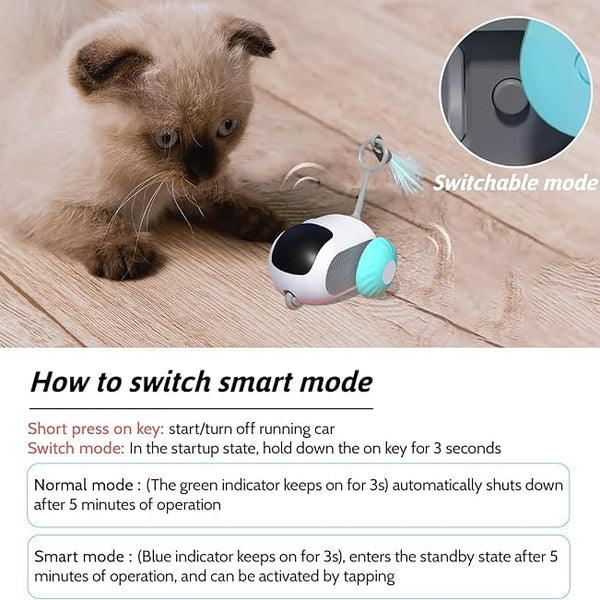 Remote Controlled Smart Cat Toy